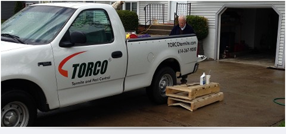 TORCO™ | Termite Control and Colony Elimination