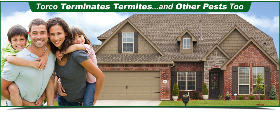 Torco Terminates Termites... And Other Pests Too